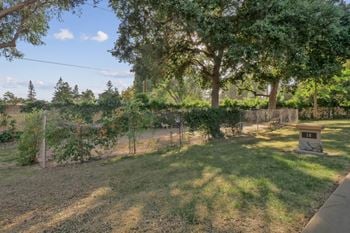 The backyard of a house with a fence and a tree